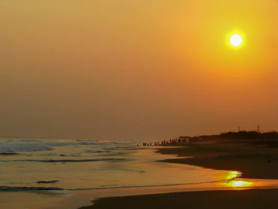 Odisha Konark Puri